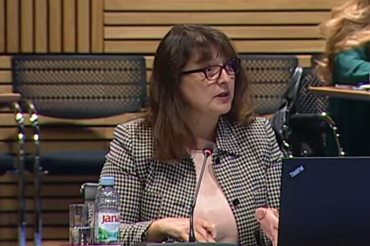 Slika /slike/01 DT BAHOVIĆ/DT BAhović_Sjednica Vlade 13112025.png